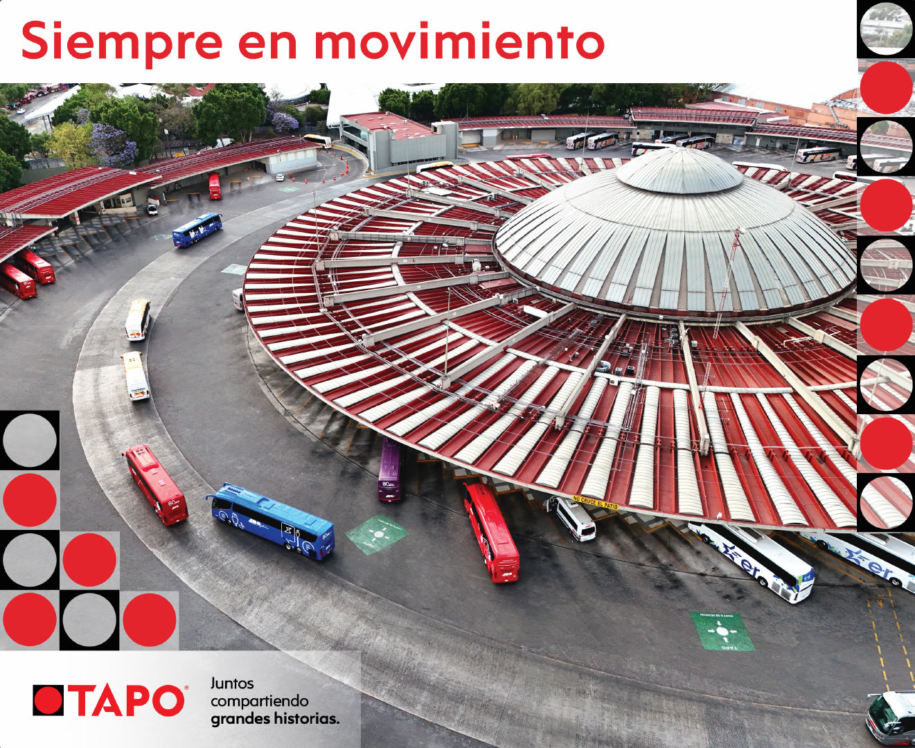 tapo-3